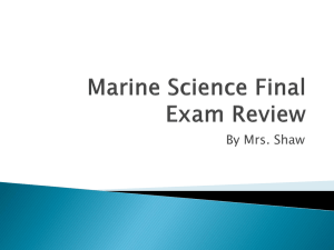 MS Final Exam Review 2015