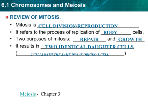 6.1 Chromosomes and Meiosis