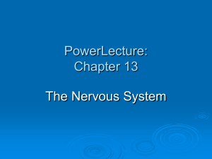 PowerLecture: Chapter 13