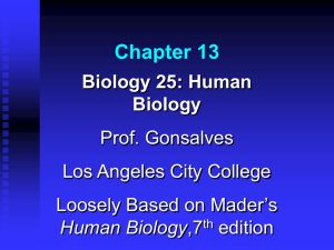 Chapter 13 - Los Angeles City College