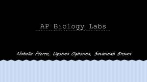 AP Biology Labs