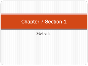 Meiosis Chapter 7 Section 1