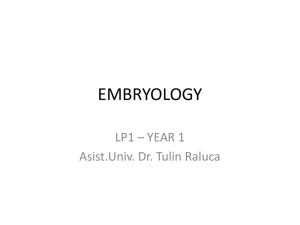 LP1.AN1 - Embriologie