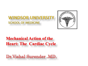 cardiac_cycle