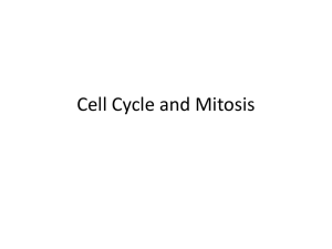 Cell Cycle, Mitosis, and Meiosis