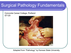 ST120 Fundamentals of Pathophysiology