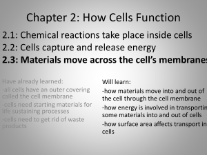 2.3: Materials move across the cell's membranes