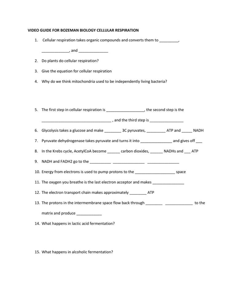 VIDEO GUIDE FOR BOZEMAN BIOLOGY CELLULAR