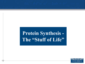01 Protein Synthesis transcription