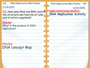 DNA Replication Poster