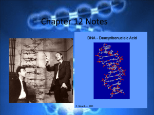 DNA Notes