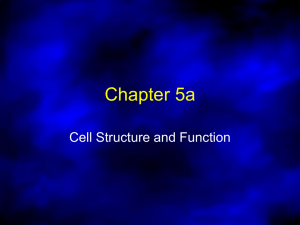 Cell PPT
