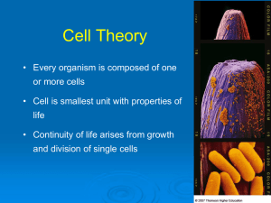 The cell theory states that _____.
