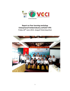 Binh Dinh workshop report final
