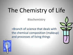 The Chemistry of Life - Bremen High School District 228