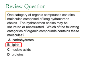 Protein & Enzyme Notes