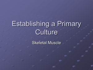Establishing a Primary Culture