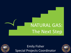 Natural Gas : The Next Step