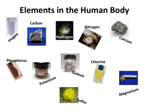 Elements in the Human Body