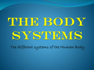 The Body Systems - Boone County Schools
