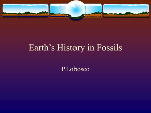 Earth's History in Fossils