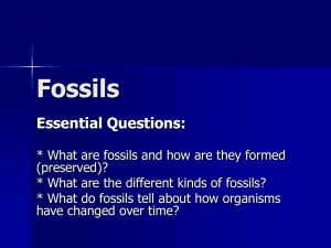 How are fossils preserved or formed?