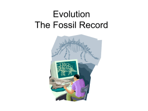 Evolution The Fossil Record