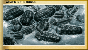 WHAT'S IN THE ROCKS!