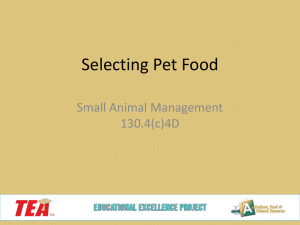 Selecting Pet Food PPT - Educational Excellence