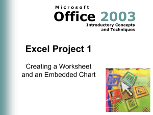 Excel Project 1