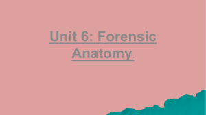 Unit 6 forensics - Kowenscience.com