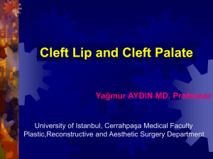 Cleft Lip and Cleft Palate Yağmur AYDIN MD, Professor