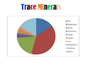 Trace Minerals