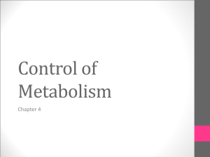 Chapter 4 – Regulation of metabolism & enzyme
