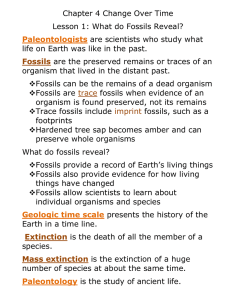 Fossils - TeacherWeb