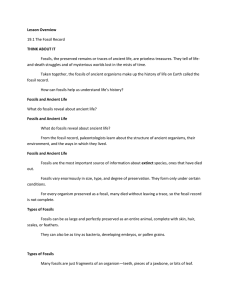 Lesson Overview 19.1 The Fossil Record THINK ABOUT IT Fossils