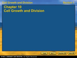 Cell Cycle and Mitosis PowerPoint