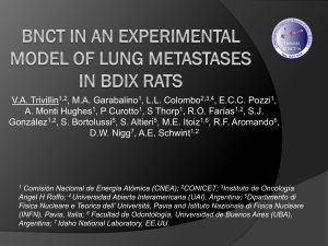 BNCT in an experimental model of lung metastases in BDIX rats