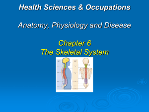 Health Sciences & Occupations Anatomy, Physiology and Disease