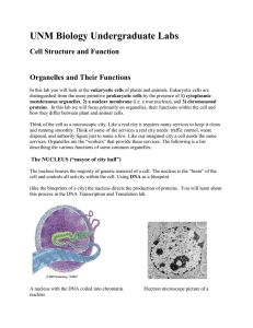 Cell Structure and Function - e-CTLT