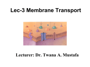 Chapter 12 - Membrane Transport