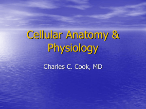Cellular Anatomy & Physiology