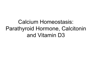 Calcium homeostasis: regulation by Parathyroid Hormone
