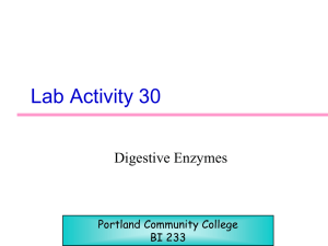 Ativity 30 - PCC - Portland Community College