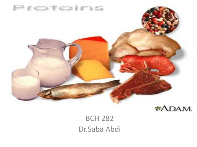 Of Protein