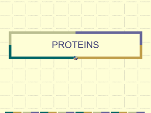 proteins ppt