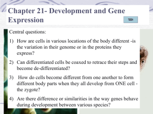 chapter 21 ap bio study guide answers