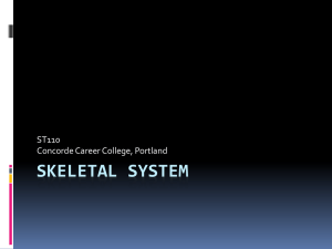 ST110 Skeletal System
