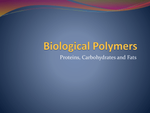 Biological Polymers