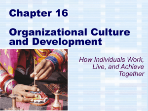 Chapter 16 Organizational Culture and Development